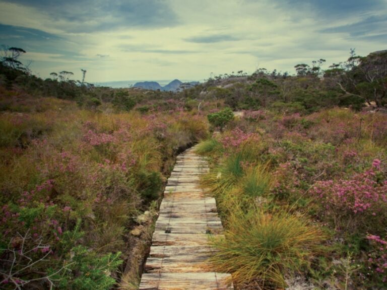 Freycinet Experience Walk