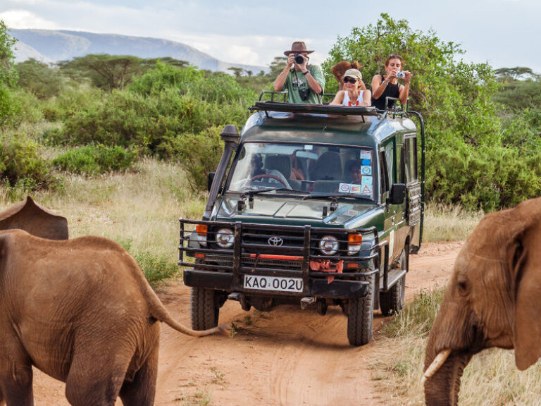 For the classic – if busy – Kenya safari
