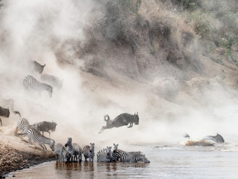 Witness the migration river crossings – but expect crowds!