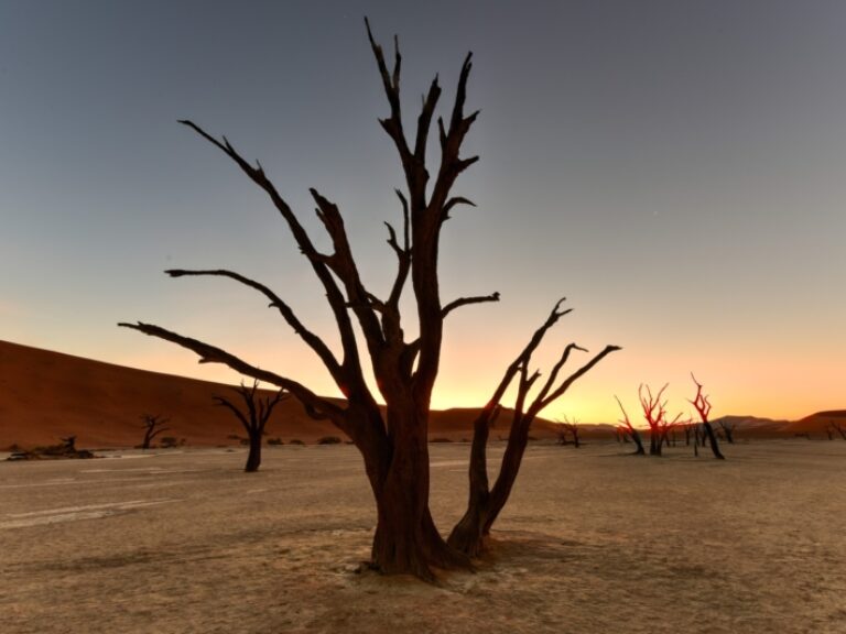 Wake early for sunrise at Deadvlei