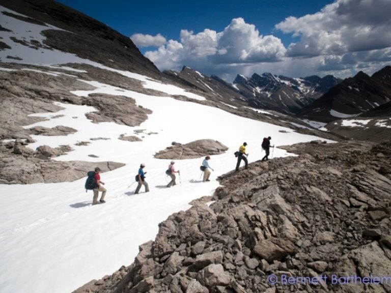 Wildland Trekking