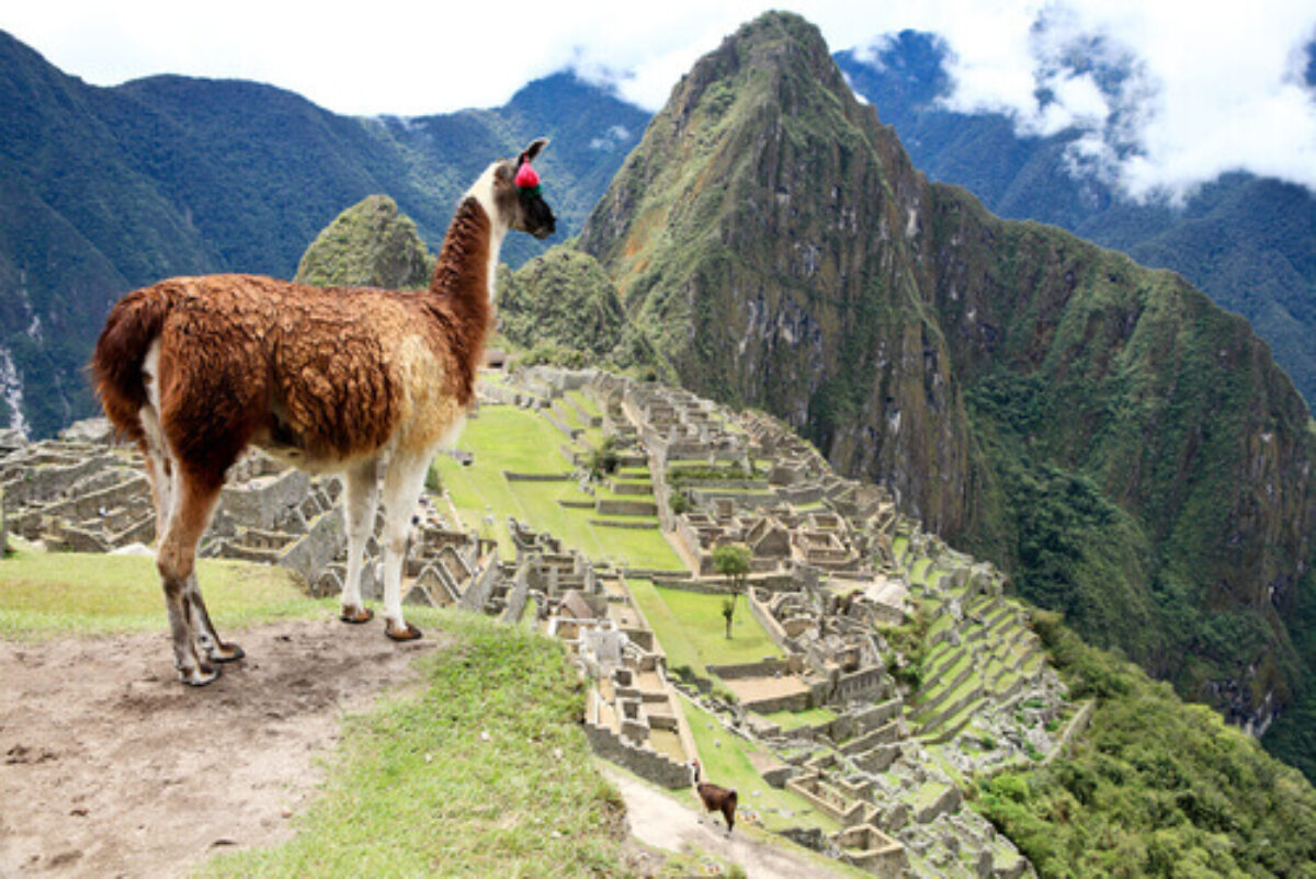 010-Machu-Picchu