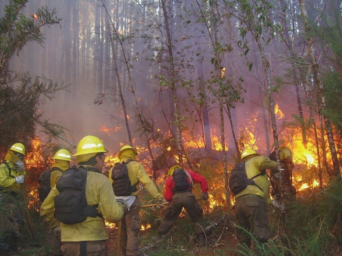 020 Torres Del Paine Fire 2