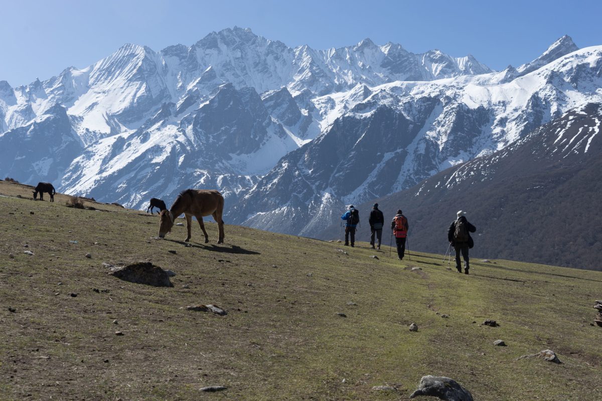 028 Nepal Langtang Valley