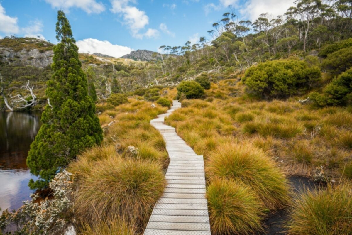 Tasmania's Best Parks - Horizon Guides