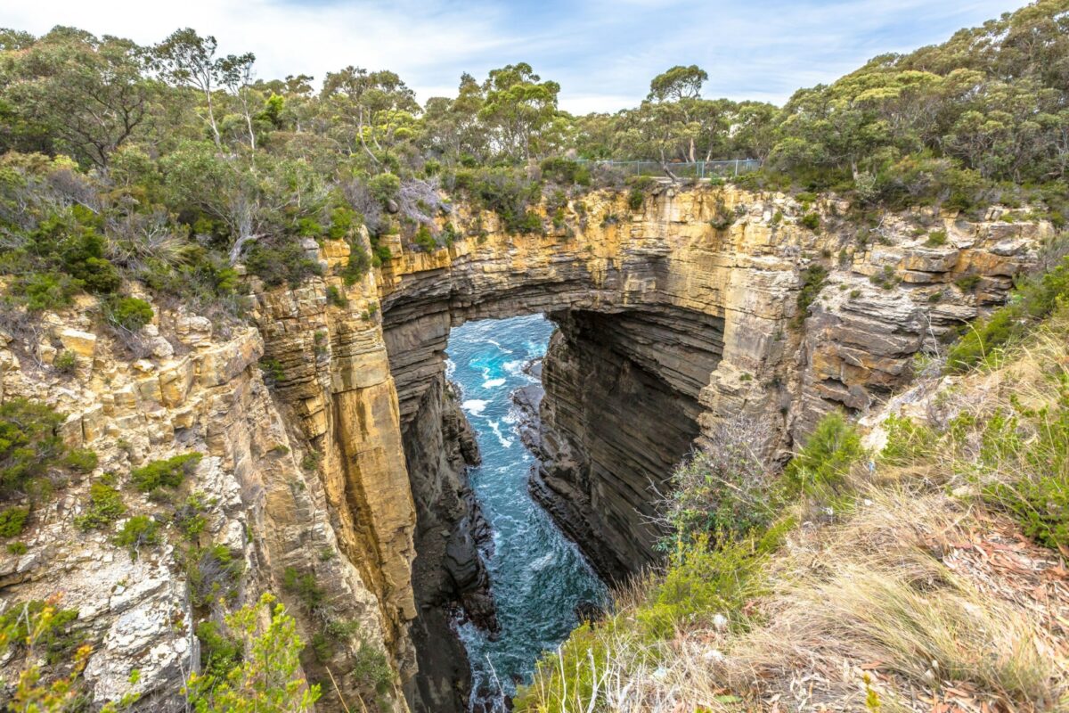 Aus Tasmania Tasman Arch is an unusual geological formation found in the Tasman National Park