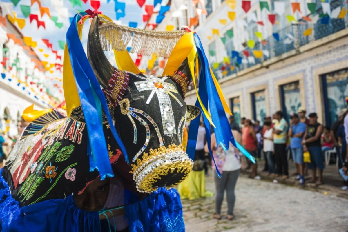 Brazil Sao Luis bulls festival
