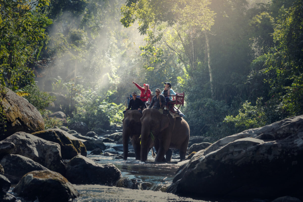 Cambodia laos elephanttrekking