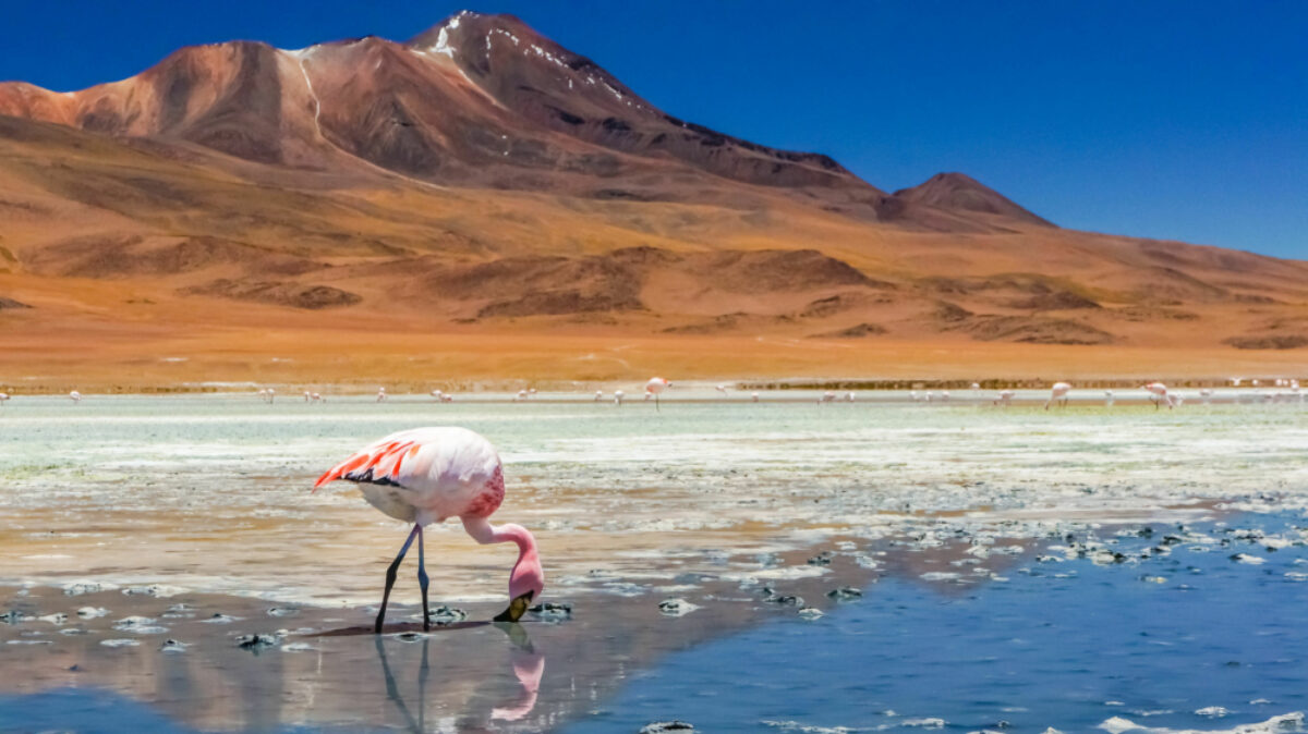 Chile-Atacama-Desert