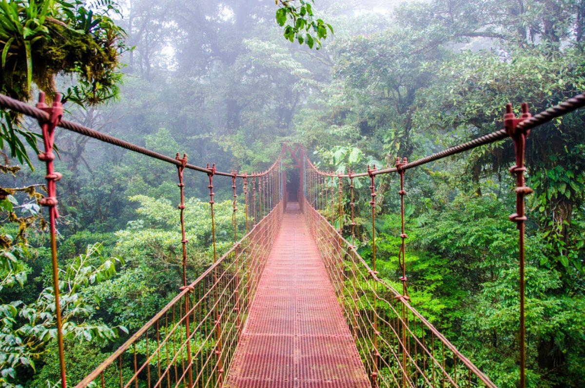 Costa Rica Monteverde bridge