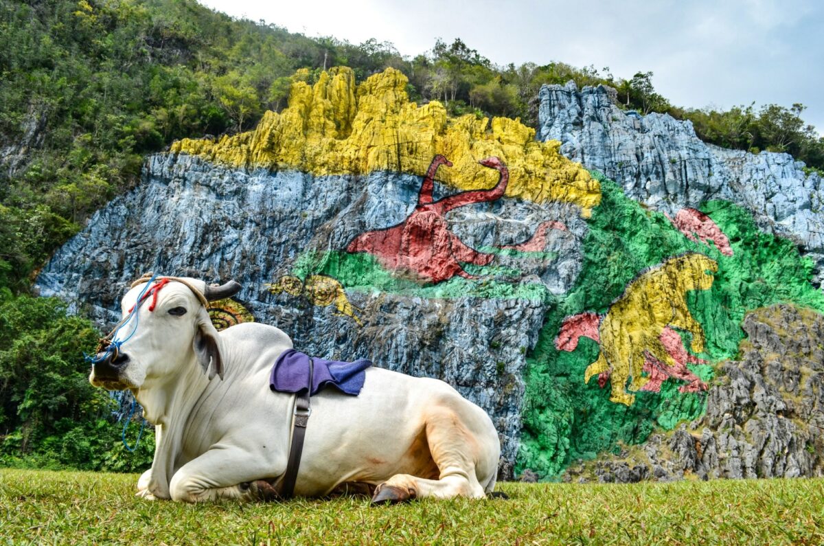 Cuba Vinales Mural de la Prehistoria a giant mural painted on a cliff face