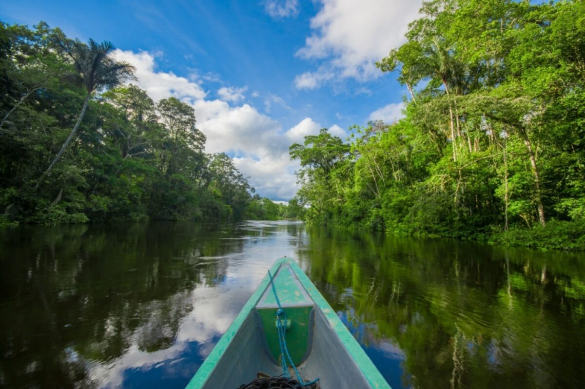 Ecuador Amazon Cuyabeno National Park