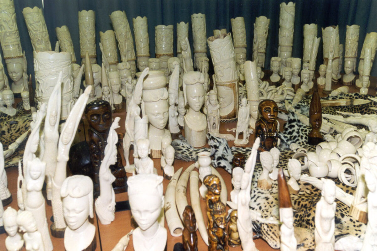 Ivory Born Free Foundation