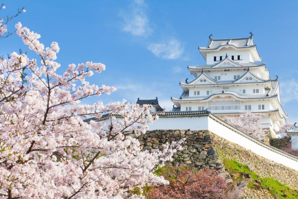 Japan Himeji castle blossom