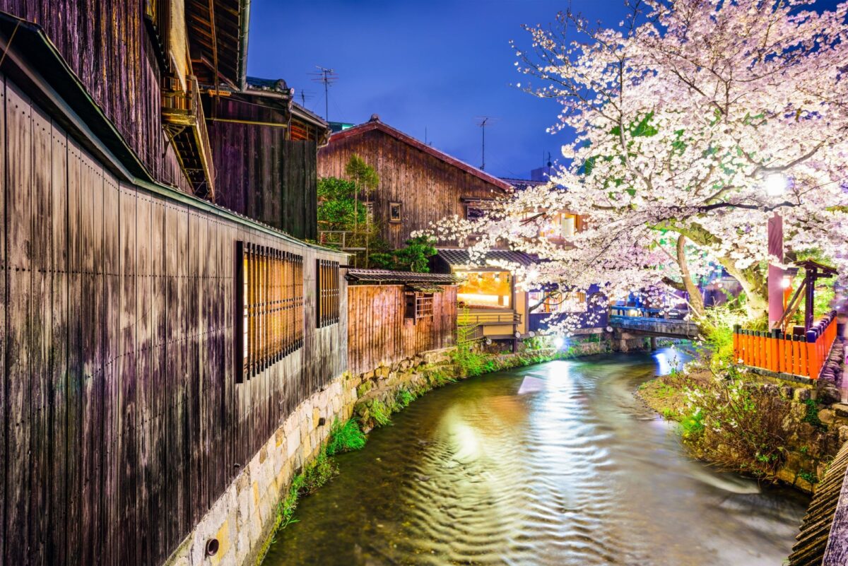 Japan Kyoto Gion District during the spring cherry blosson season