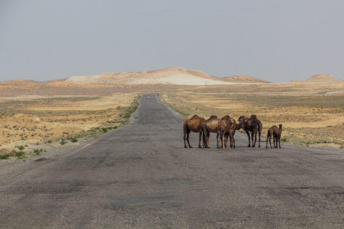 Karakum desert between Ashgabat and Konye Urgench Turkmenistan