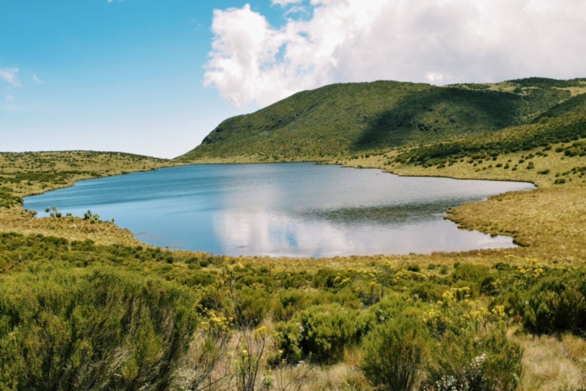 Kenya Mount Kenya Lake Ellis