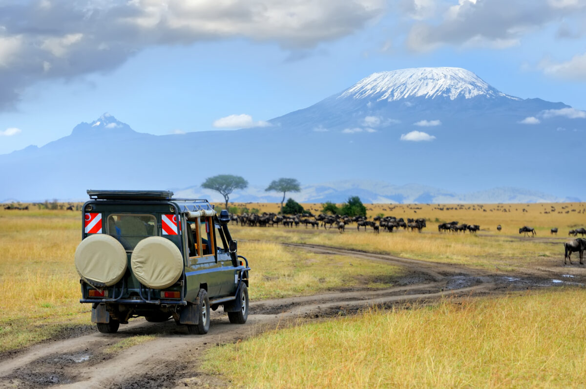 Kenya_Msaramara Kilimanjaro Wildebeest