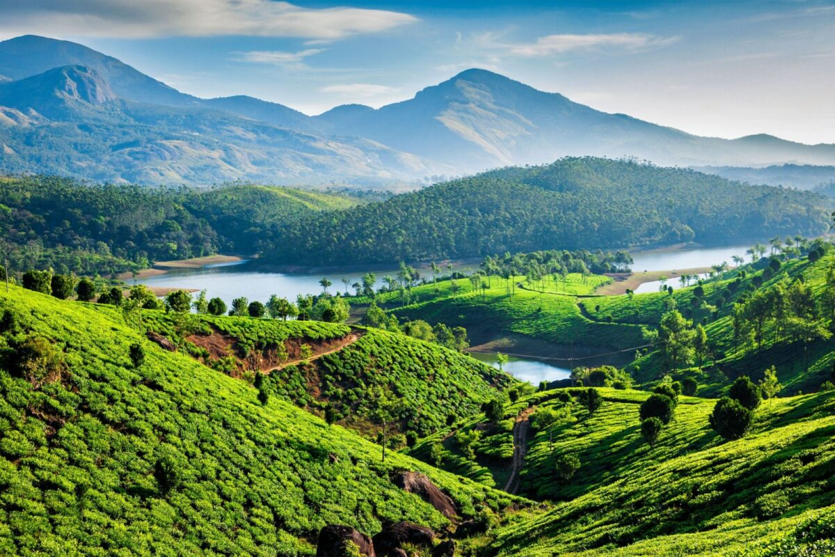 Kerala Tea plantations and Muthirappuzhayar River in hills near Munna