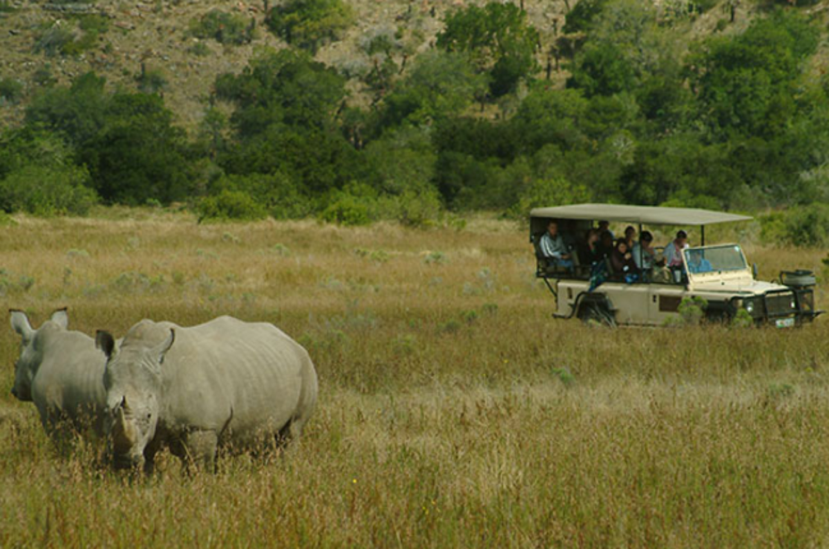 Kwantu Game Reserve south africa