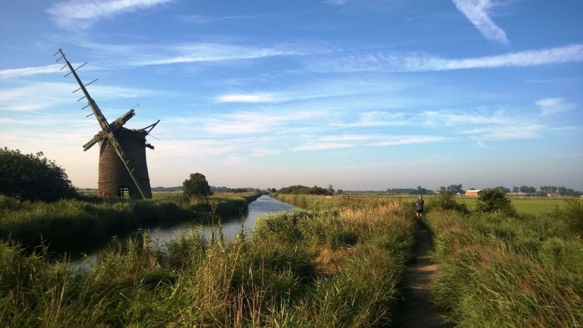 Landscape of Horsey windmill on the Norfolk Broads england uk