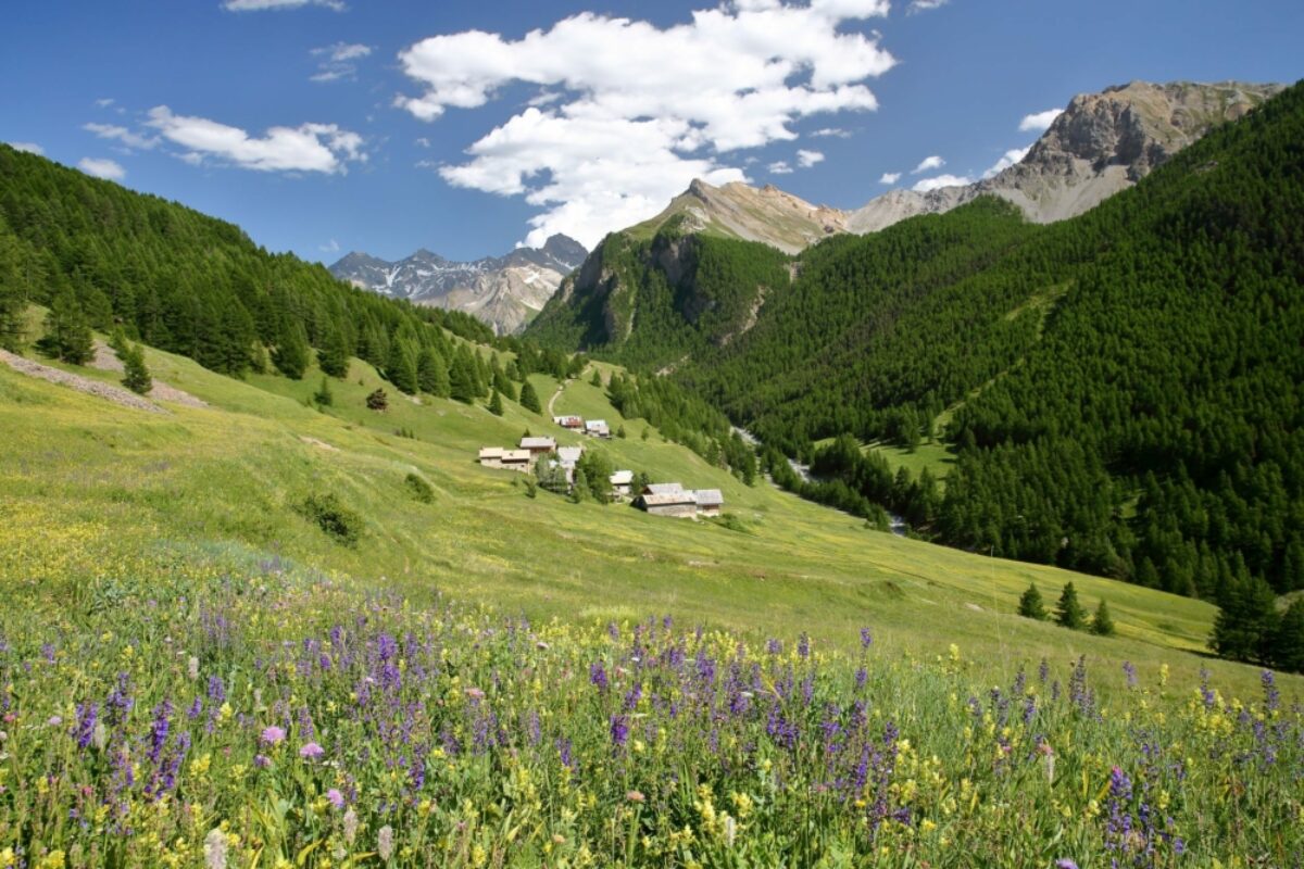 Les Chalmettes Queyras Regional Natural Park Alps France