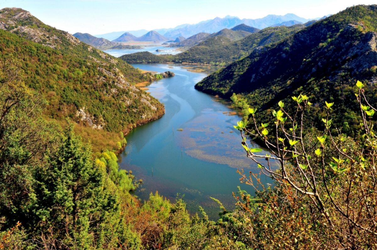 Montenegro Skader Lake NP Crnojevica river view