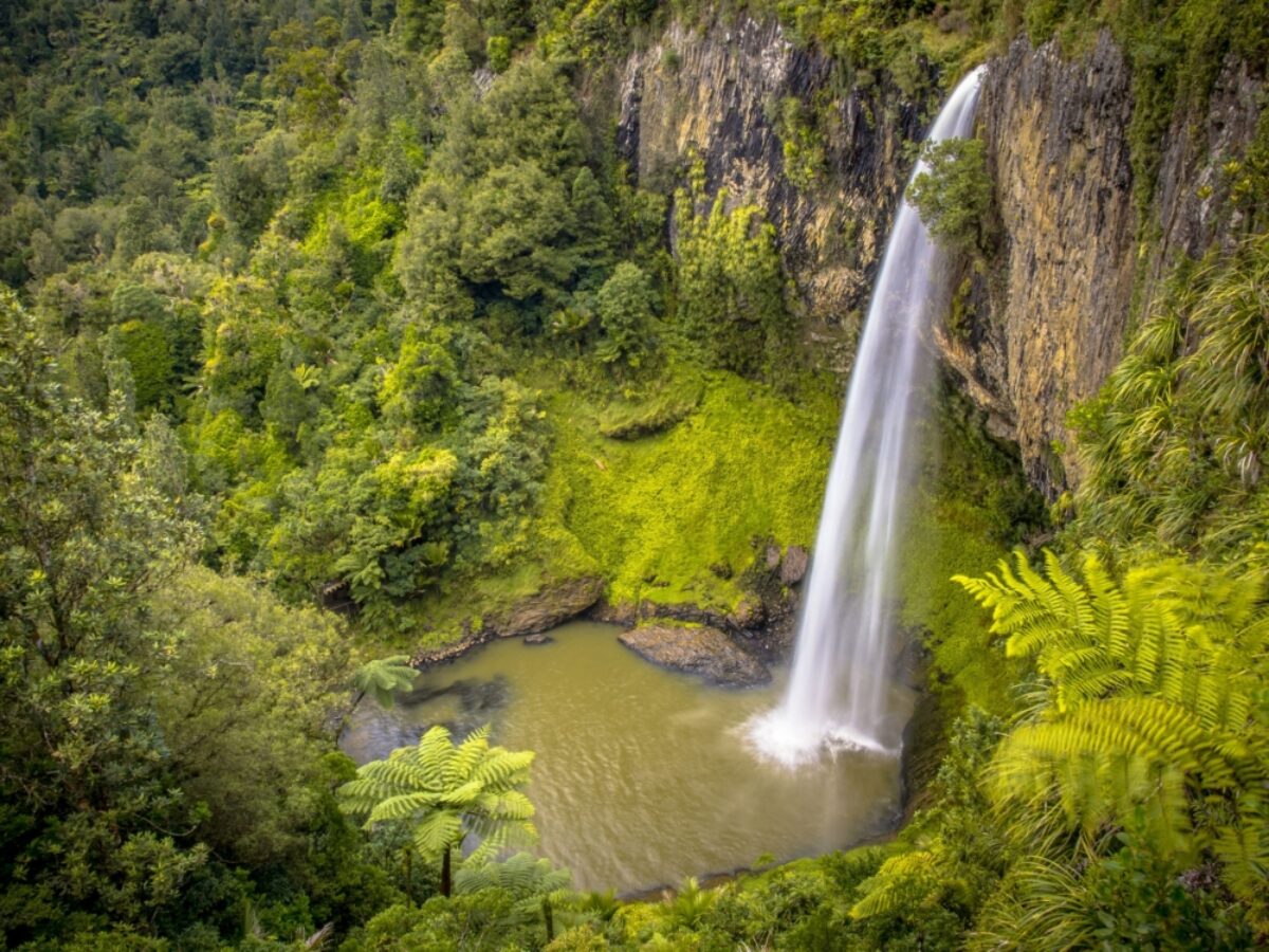 NZ Raglan nearbye jungle waterfall