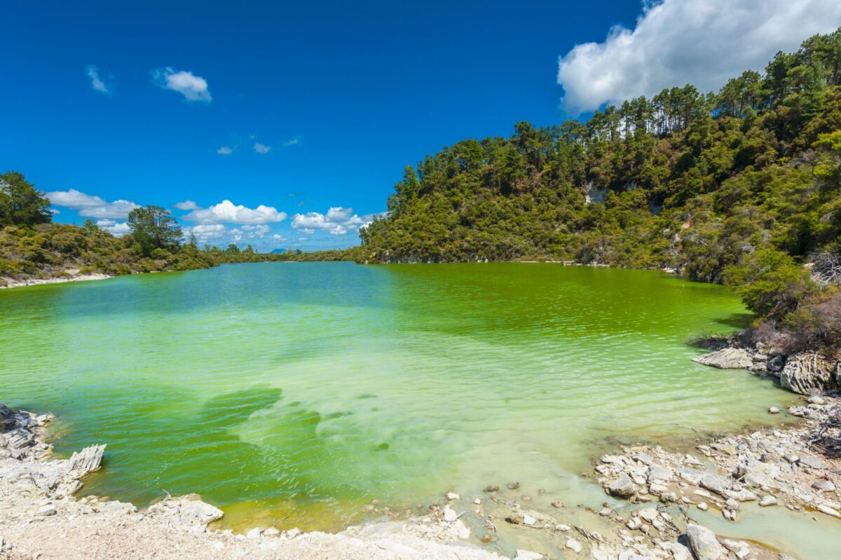 NZ Rotorua Waitapu Green Ngakoro Lake