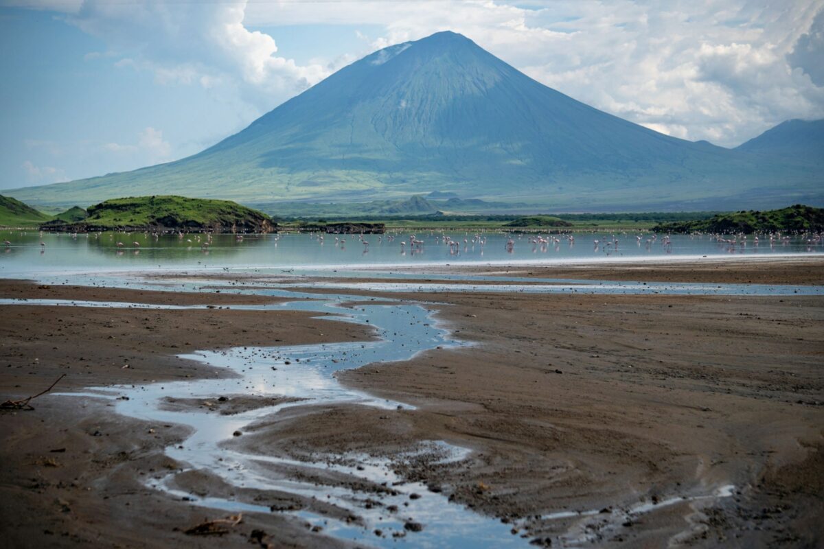Pink lesser Flamingos at Lake Natron with Ol Doinyo Lengai volcano on background in Rift valley Tanzania