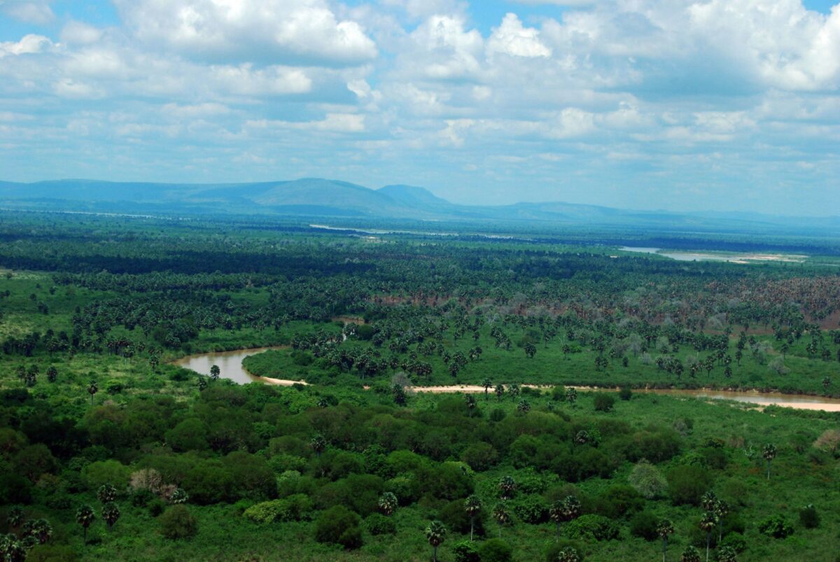 Rufiji River in the Selous Game Reserve Tanzania