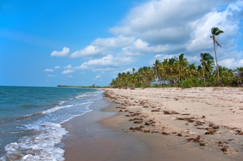 Saadani National Park tanzania