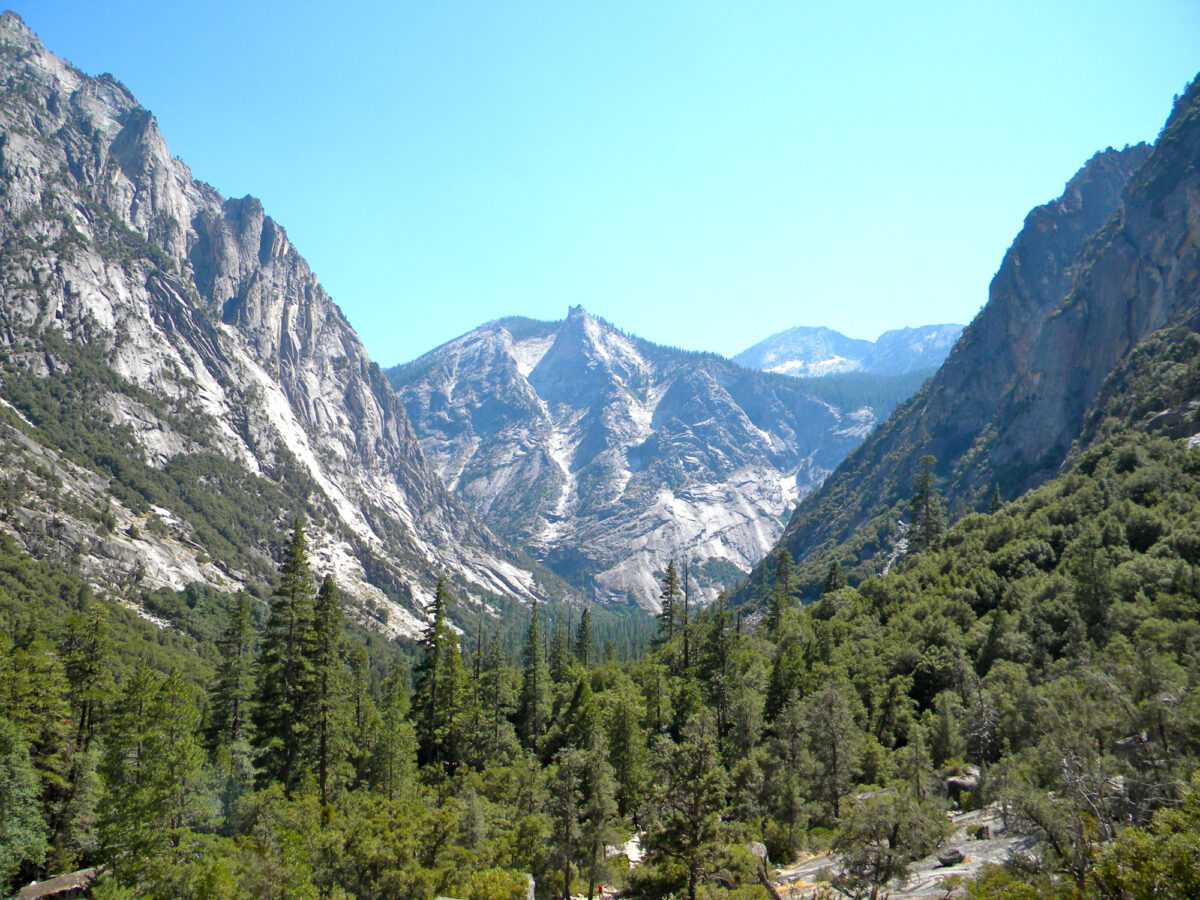 Sequoia kings canyon national park usa