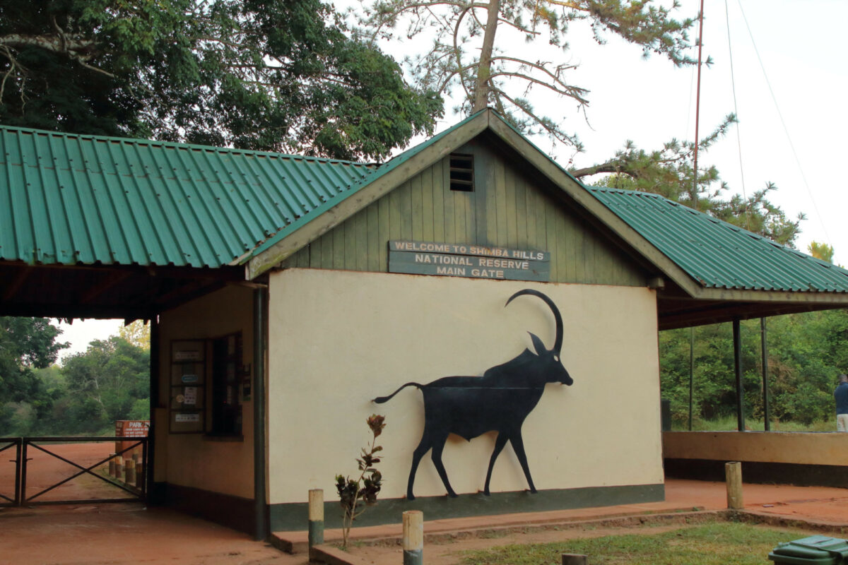 Shimba Hills National Reserve Kenya