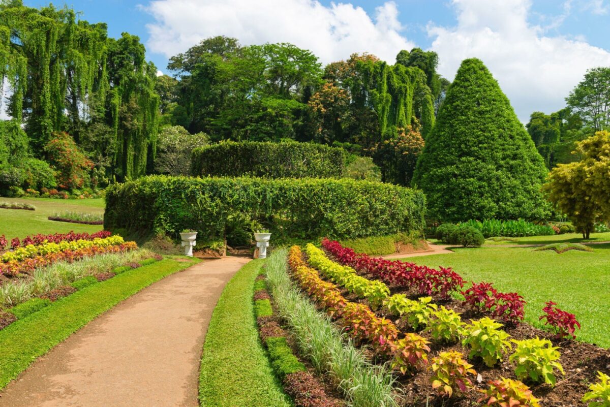 Sri Lanka Kandy Royal Botanical Gardens Peradeniya