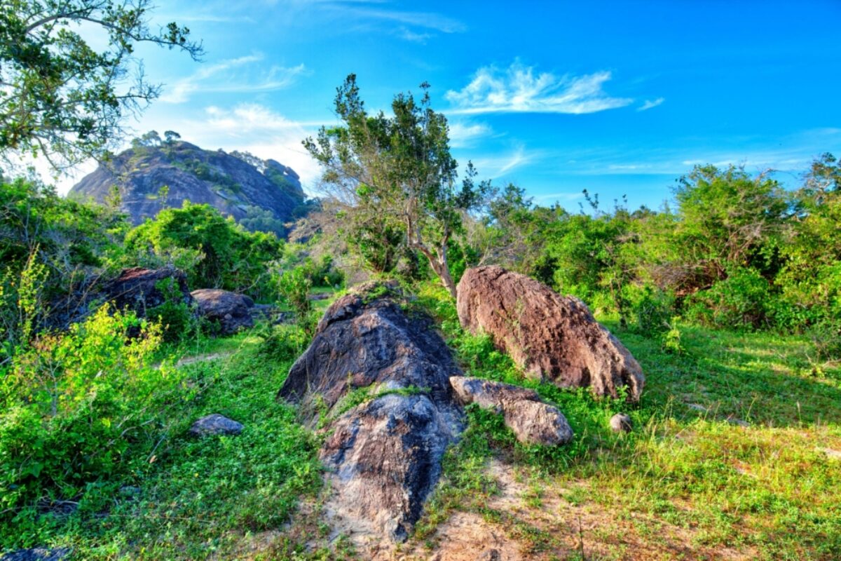 Sri Lanka Yala National Park scenery