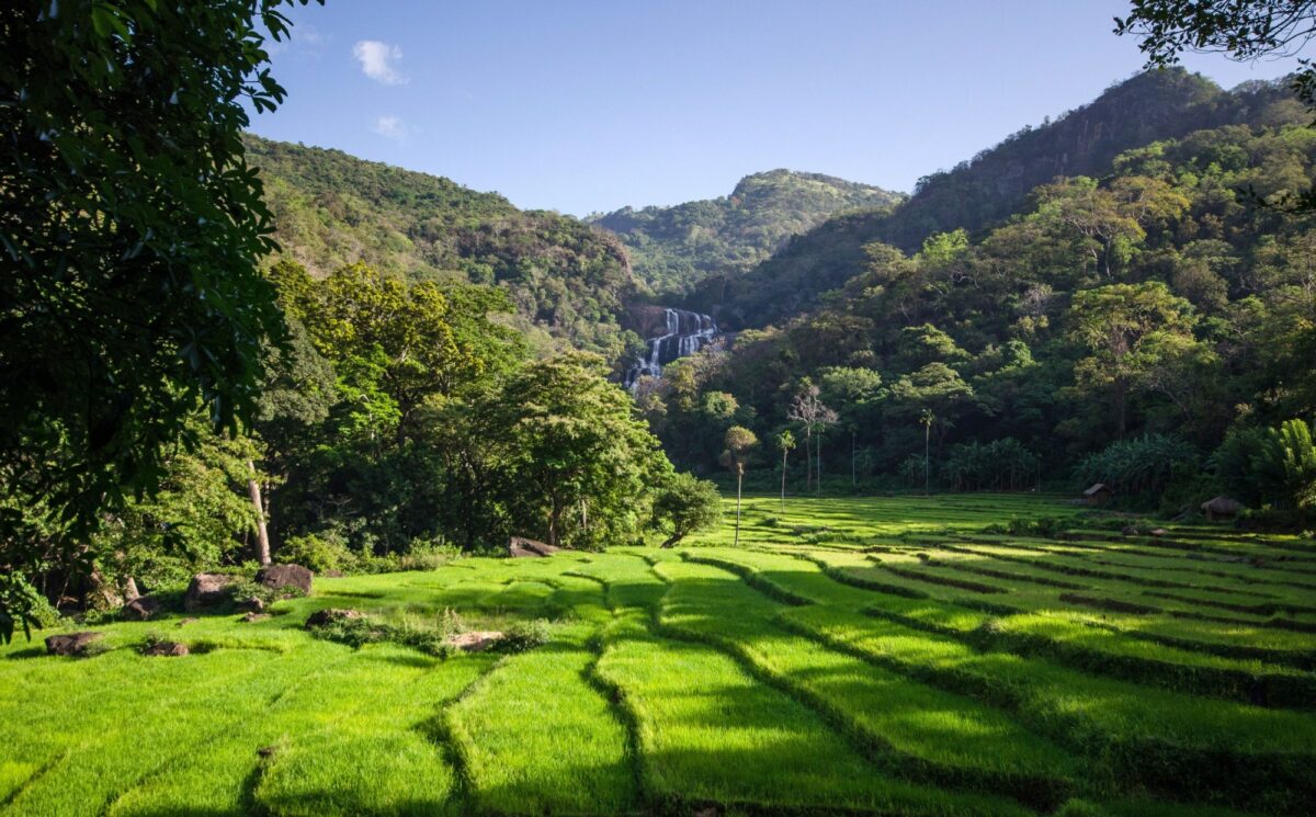 Sri Lanka knuckles mountain range ricefields