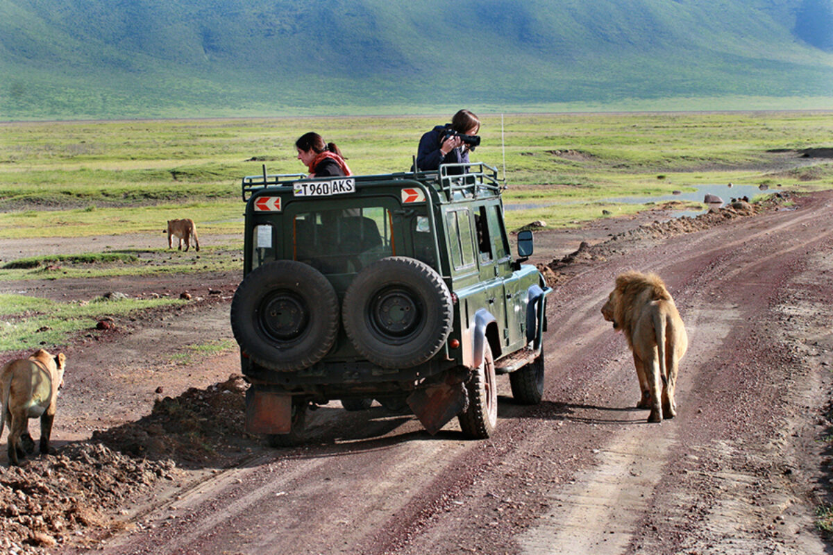 Tanzania Ngorongoro 2