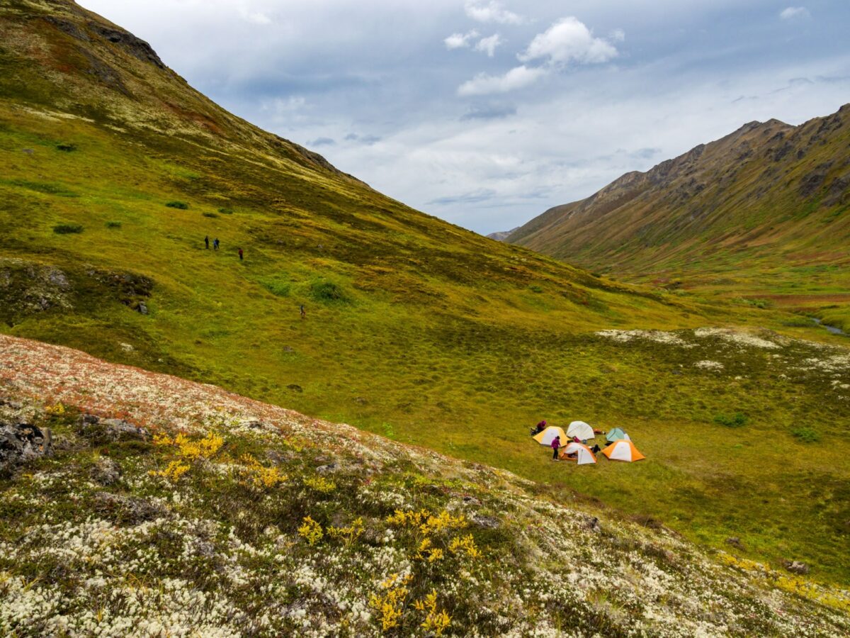 Tents in the Tundra Mountain Valley Campsite Chugach State Park USA