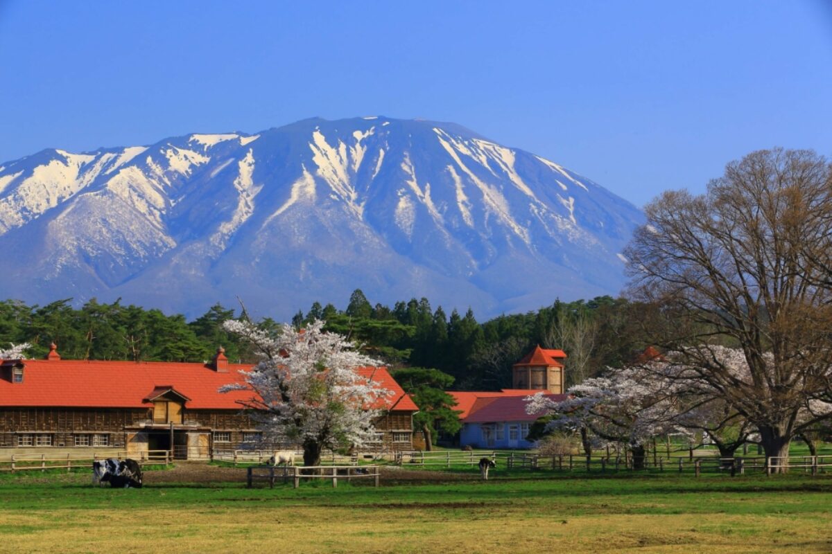 Tohoku Iwate volcano and farm