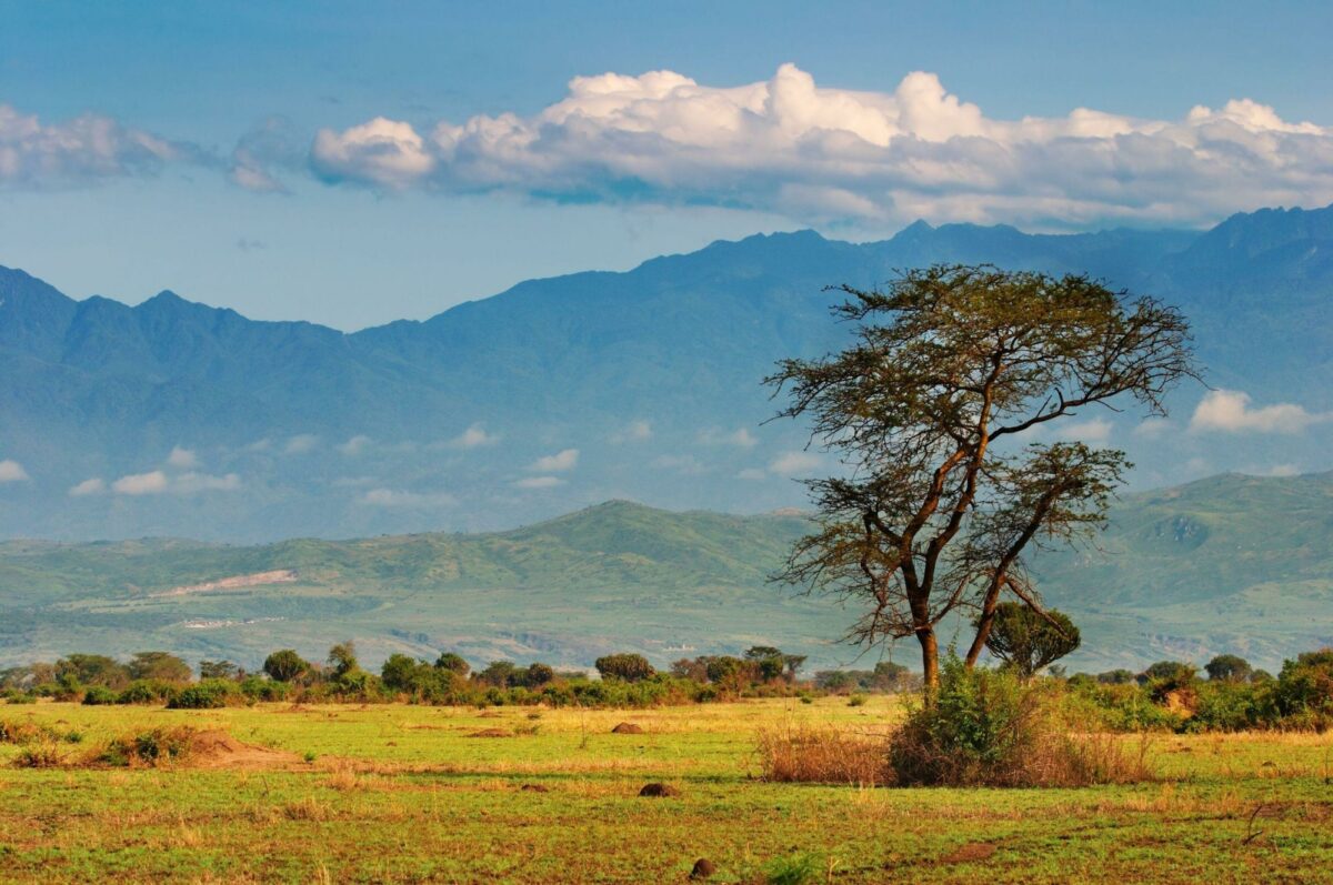 Uganda Rwenzori Mountains