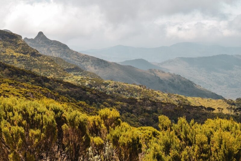 Aberdares kenya