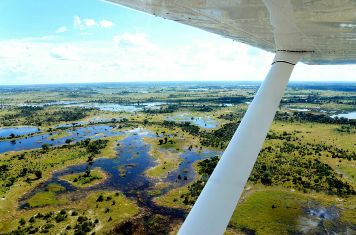 Aerial view okavango delta botswana