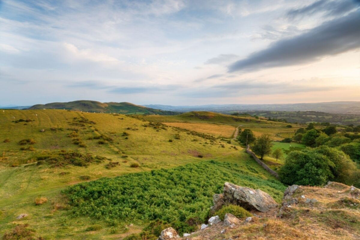 Budget Gilwern Hill near Llandrindod Wells in Powys Wales UK