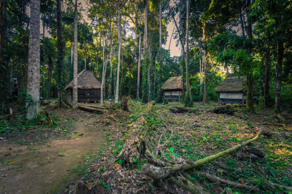 Jungle lodge Manu national park