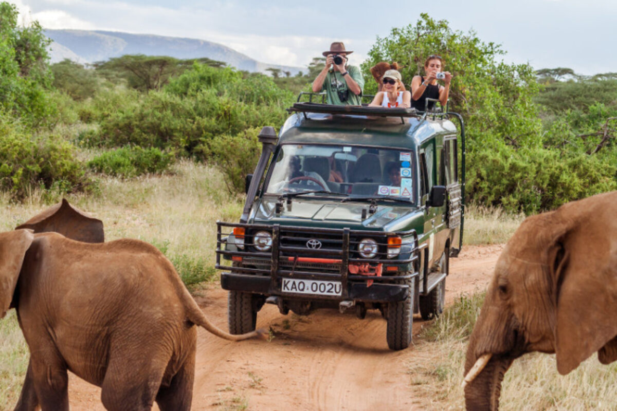 Kenya masai mara safari elephants