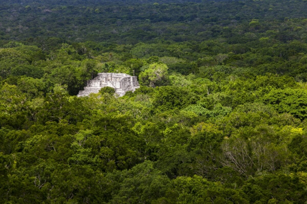 Maya ruins in calakmul mexico