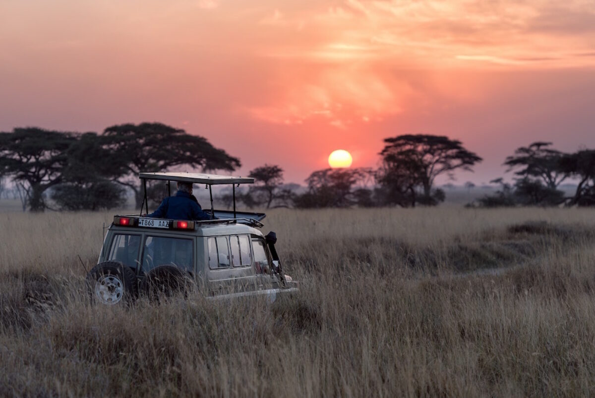 Tanzania-Serengeti