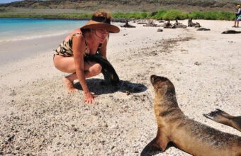 The Best Galapagos Islands For Wildlife Spotting