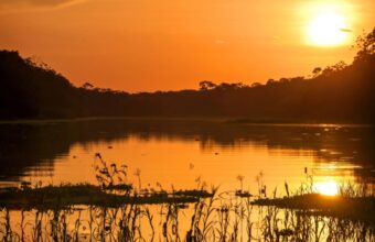 Best Peru Amazon River Cruises